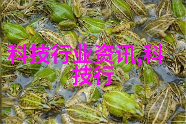 苏州移动为2024张家港长江马拉松系列赛保驾护航