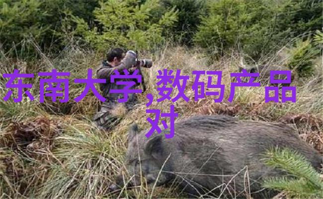 华硕下代Intel主板要有大动作AI迅猛超频疾速互联全用上