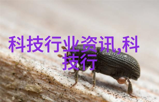 中兴崔丽深度分享AI见解底层芯片将趋同大模型开源与闭源共存