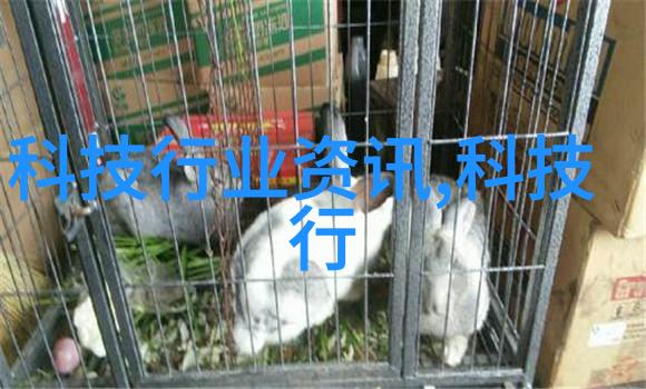百度李彦宏AI泡沫难以避免会有1的企业脱颖而出
